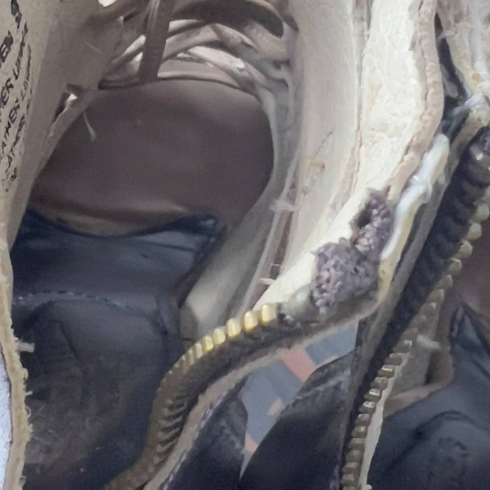 Freebird Braeden Blush Gladiator Sandal Boots Sz 9 Strappy Chunky Peep Toe Brown - Picture 8 of 16